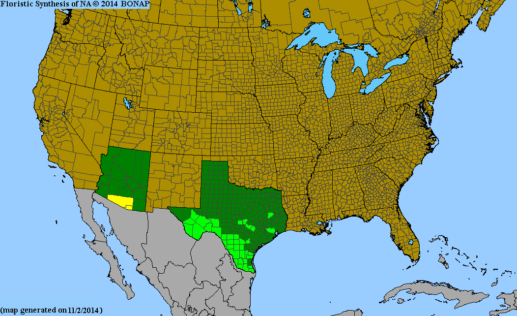 County distribution map of Aloysia gratissima var. schulziae - Whitebrush